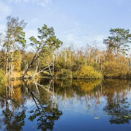 Fischland In The Park